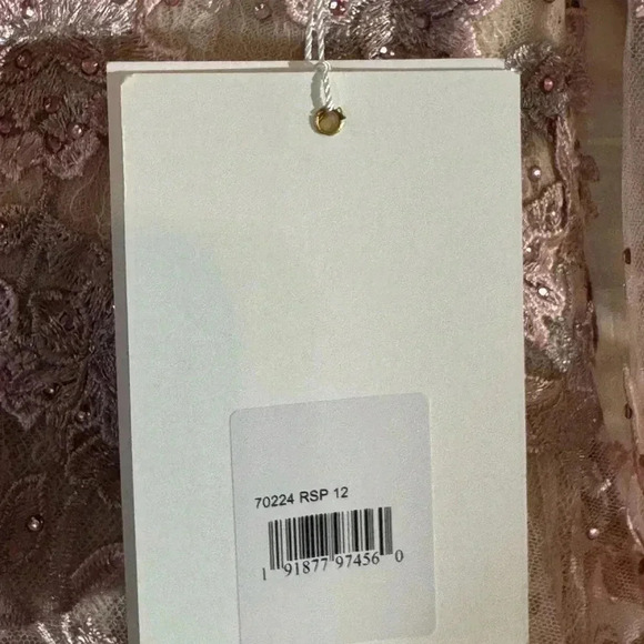 MAC DUGGAL Light Pink Floral Applique Long Sleeve Illusion Gown Style 70224 NWT - Picture 6 of 8